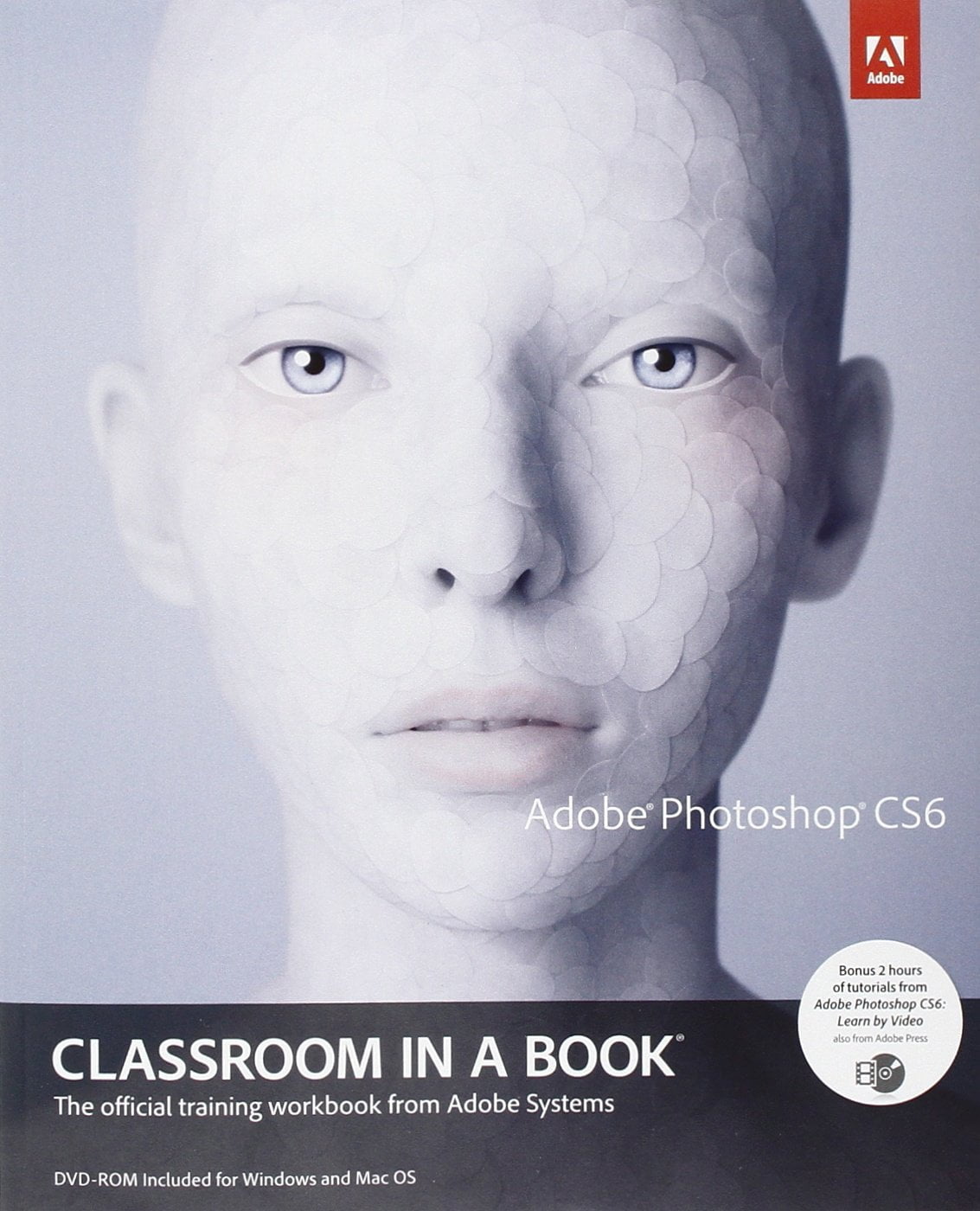 adobe illustrator cs6 classroom in a book pdf