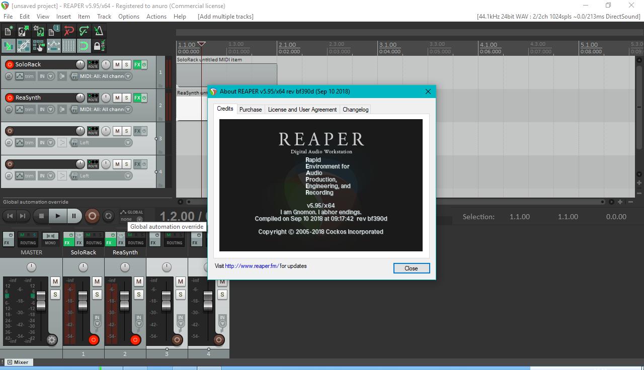 Cockos REAPER 6.82 download the new version for windows