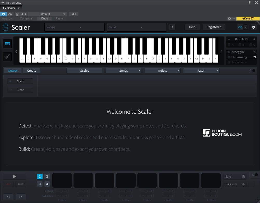 luxand chord pickout torrent