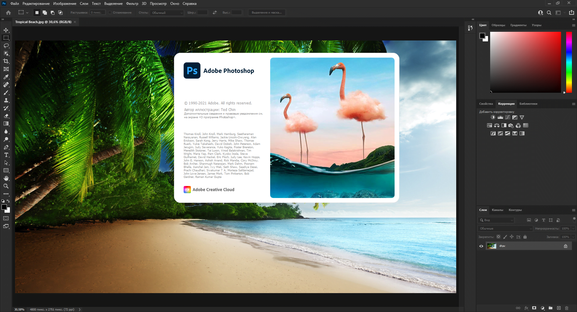 Adobe photoshop 2024 25.6 0.433