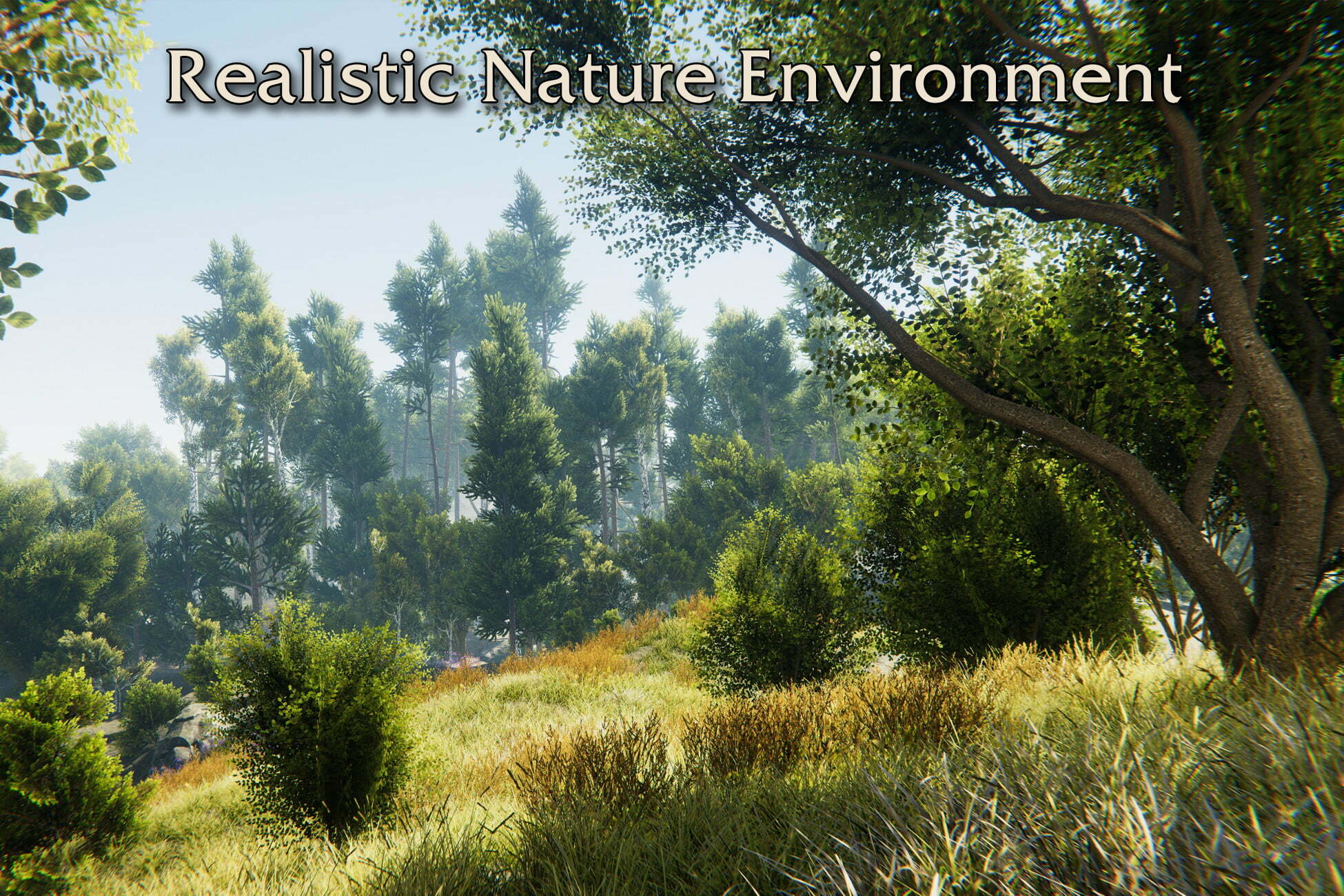 Environment 3. Юнити природа. Утро 3d environment. Природа 3d model. Realistic 3d environment.